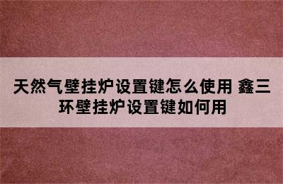 天然气壁挂炉设置键怎么使用 鑫三环壁挂炉设置键如何用